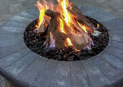 Gas Fire Pit Logs with Remote Control